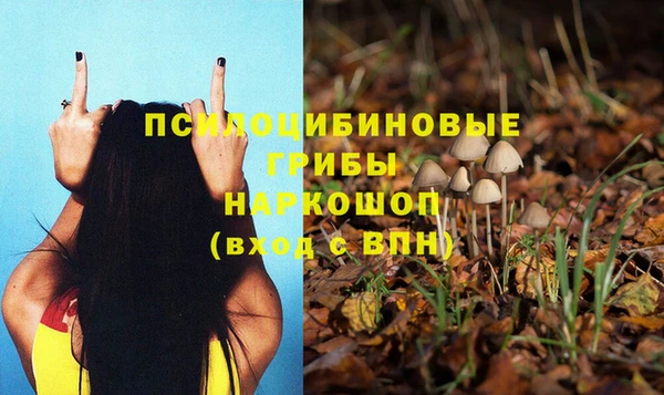 шишки Магас
