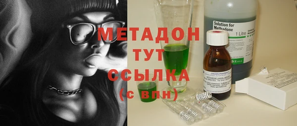 шишки Магас