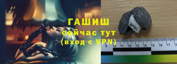 индика Мегион