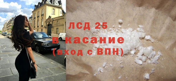 шишки Магас