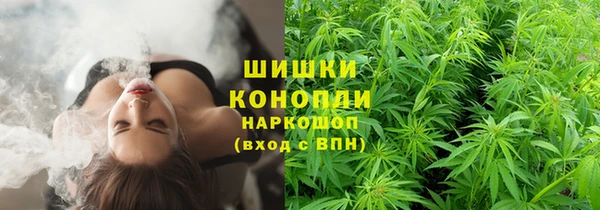 шишки Магас