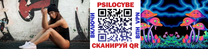 Псилоцибиновые грибы прущие грибы  Строитель 