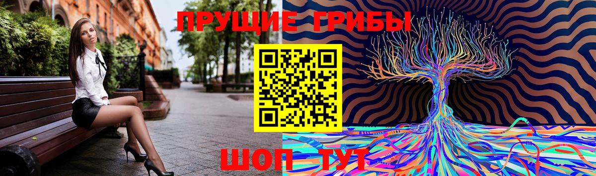 что такое   Псилоцибиновые грибы мицелий  Строитель  Вход с VPN  Галлюциногенные грибы ЛСД 