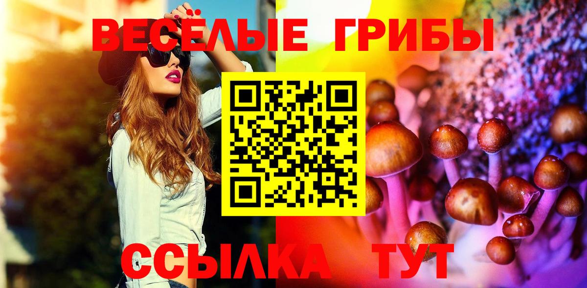 Галлюциногенные грибы мицелий Строитель